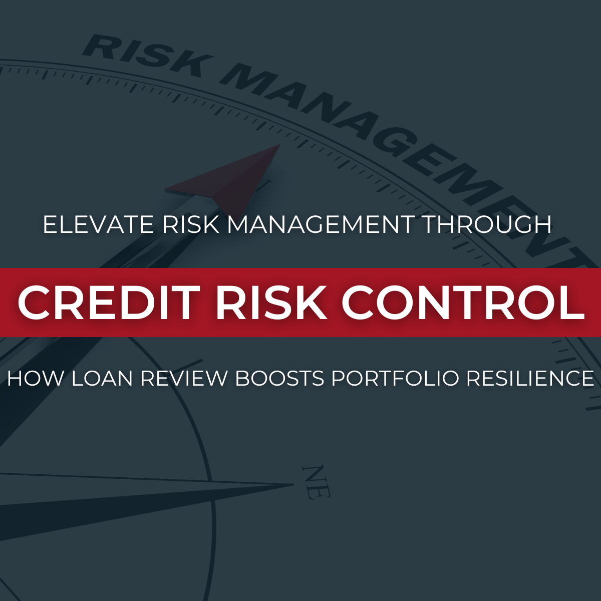 The role of loan review in the credit risk management system - Young ...