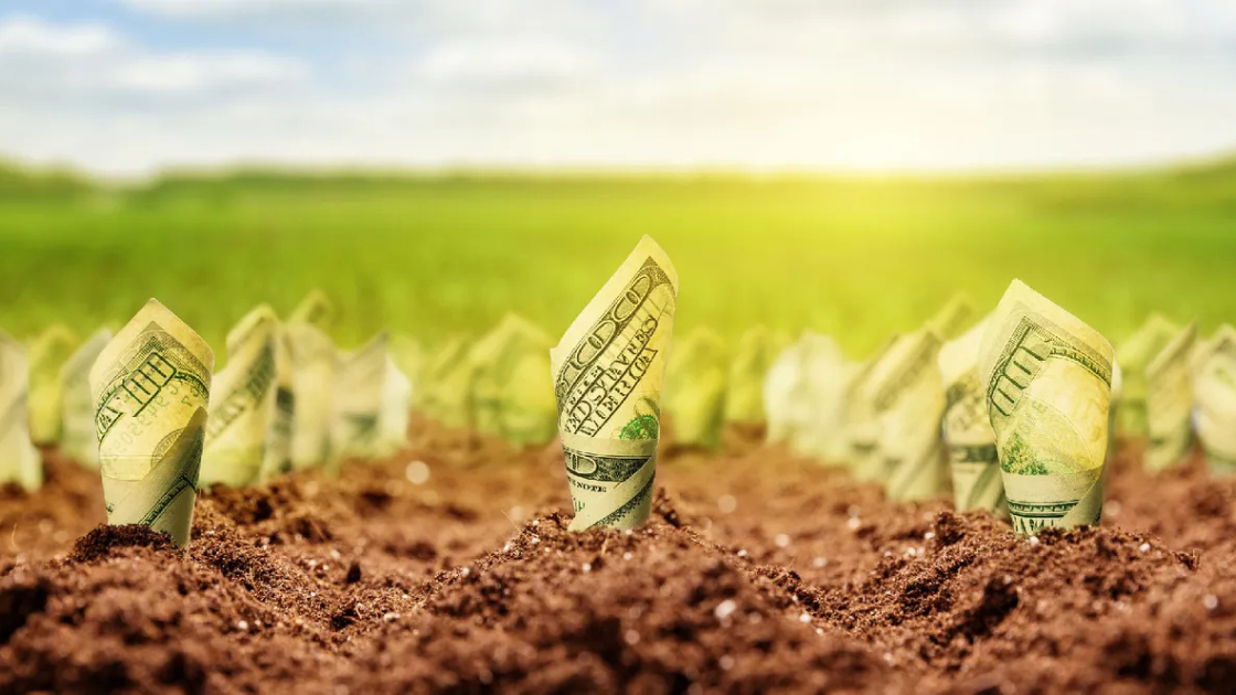 Federal Crop and Livestock Insurance Programs and What’s Changing in 2025